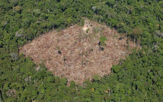 Levantamento Inédito Do Mapbiomas Amazônia Mostra Que Perda De Cobertura Vegetal Em 36 Anos 1232