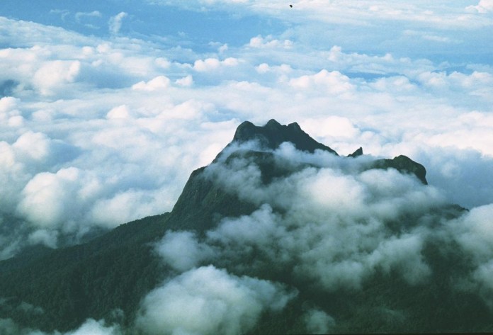 Turismo No Pico Da Neblina Ponto Mais Alto Do Brasil Será Retomado Após Quase 20 Anos Na 6394