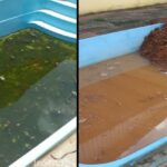 Em Senador Guiomard, após reclamação ao invés de mandar limpar prefeitura joga barro para aterrar piscina de centro do idoso Em Senador Guiomard, após reclamação ao invés de mandar limpar prefeitura joga barro para aterrar piscina de centro do idoso