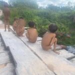 PF vai investigar se houve omissão de agentes públicos no território Yanomami, diz Flávio Dino PF vai investigar se houve omissão de agentes públicos no território Yanomami, diz Flávio Dino