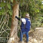 Construção de estrada entre Manoel Urbano e Santa Rosa do Purus vai parar na justiça Construção de estrada entre Manoel Urbano e Santa Rosa do Purus vai parar na justiça
