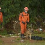 Identificação de cinco vítimas expõe depoimento mentiroso de assassino