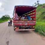Para combater clandestinos, governo começa a fiscalizar transporte intermunicipal de passageiros