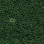 IA identifica indícios da existência de povos desconhecidos no Acre, diz Folha IA identifica indícios da existência de povos desconhecidos no Acre, diz Folha