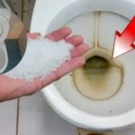 Como REMOVER a sujeira do fundo do vaso sanitário?