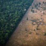 Com mês preocupante, Acre possui mais de 1 mil km² de terras em risco para desmatamento