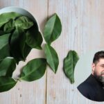 Conheça a planta rica em proteínas, low carb e antienvelhecimento