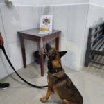Com ajuda de cadela farejadora, PM do Acre apreende mais de um quilo de drogas em Tarauacá