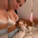 Pipokinha presa? Cantora é acusada de zoofilia após publicar vídeos com gatos lambendo seus seios; FOTOS