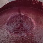 Governo Federal retoma garantia de preço e paga 37,50% de bônus ao açaí do Acre