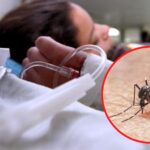 Acre teve quase 5 mil casos prováveis de dengue em 2023 até o mês de abril, segundo o MS