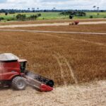 Cultivo da soja cresceu em mais de 7.000% no Acre, diz pesquisa
