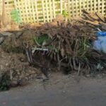 Sem coleta, moradores de Sena se revoltam e dizem que bairros estão tomados por lixo