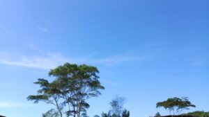 Quinta-feira deve ser quente, abafada e com chuvas passageiras