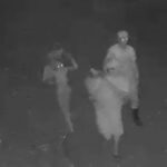 Criança está entre suspeitos que furtaram jabutis em Rio Branco