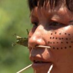 Observatório identifica 42 políticos com fazendas em terras indígenas