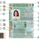 Fim das autoescolas no Brasil? Retirada da CNH com novo formato surpreende e brasileiros comemoram a notícia