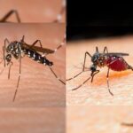 Em Cruzeiro do Sul dengue e malária reduziram os números de casos