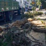 Fortes ventos de ciclone causam duas mortes em SP