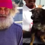 Australiano resgatado de naufrágio doa cachorro com quem dividiu barco à deriva por 3 meses