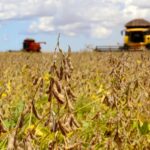 Valor das lavouras do Acre é de quase R$ 1 bilhão, com soja crescendo 63% em 2023 Valor das lavouras do Acre é de quase R$ 1 bilhão, com soja crescendo 63% em 2023