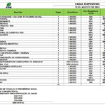 Sine oferta 43 vagas de emprego para Rio Branco e Cruzeiro do Sul nesta terça-feira, 15