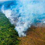 Em 2023, Acre é o estado que mais reduziu desmatamento entre Rondônia e Amazonas Em 2023, Acre é o estado que mais reduziu desmatamento entre Rondônia e Amazonas