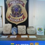 Forças de Segurança apreendem 20 quilos de drogas em Rodrigues Alves Forças de Segurança apreendem 20 quilos de drogas em Rodrigues Alves