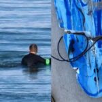 Foto registra tubarão próximo de surfista pouco antes de arrancar sua perna na Austrália Foto registra tubarão próximo de surfista pouco antes de arrancar sua perna na Austrália