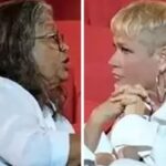 “Eu não sei ser condescendente com gente burra”, diz Marlene Mattos