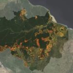 Em 10 anos, Amazônia Legal teve área equivalente à França destruída pelo fogo