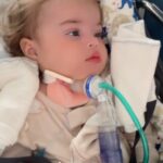 Filha caçula de Juliano Cazarré dá entrada na UTI às pressas: 'Perdi a conta' Filha caçula de Juliano Cazarré dá entrada na UTI às pressas: 'Perdi a conta'