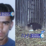 Homem é executado a tiros enquanto caminhava em via pública no Calafate Homem é executado a tiros enquanto caminhava em via pública no Calafate