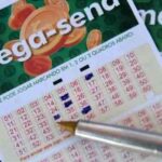 Veja as dezenas sorteadas do concurso 2.630 deste sábado (9) Veja as dezenas sorteadas do concurso 2.630 deste sábado (9)