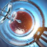 Embrião humano é criado sem espermatozoide ou óvulo