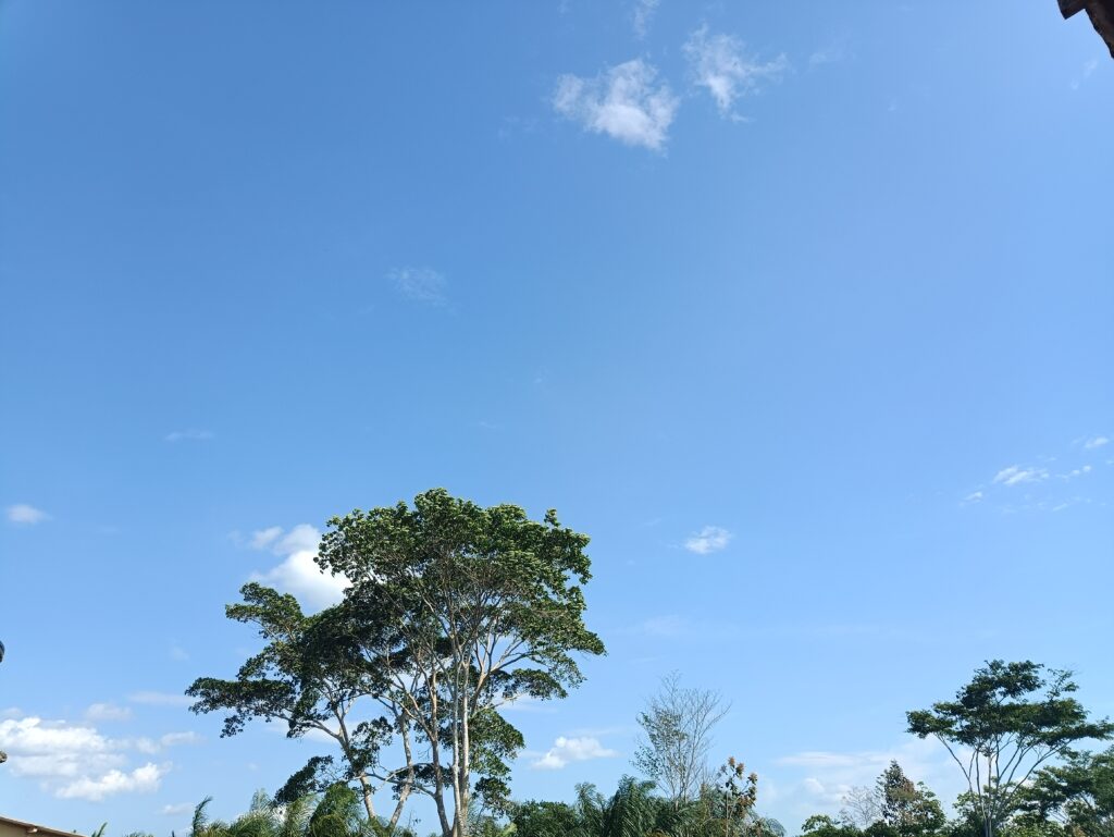 Domingo deve ser quente e ventilado, com chuvas pontuais que podem ser fortes