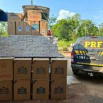 Adolescente de 16 anos é apreendido transportando mais de 12 mil maços de cigarros Adolescente de 16 anos é apreendido transportando mais de 12 mil maços de cigarros