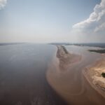Estado e Governo Federal vão mapear situação da fauna nos rios do AM Estado e Governo Federal vão mapear situação da fauna nos rios do AM