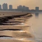 Vídeo explicativo sobre a interdição da praia da Ponta Negra viraliza; entenda Vídeo explicativo sobre a interdição da praia da Ponta Negra viraliza; entenda