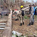 Operação conjunta das forças de segurança aprendem armas de fogo e motosserras na Reserva Chico Mendes, em Xapuri Operação conjunta das forças de segurança aprendem armas de fogo e motosserras na Reserva Chico Mendes, em Xapuri