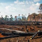 Em setembro, Estado do Acre contribuiu com 10% do desmate na Amazônia