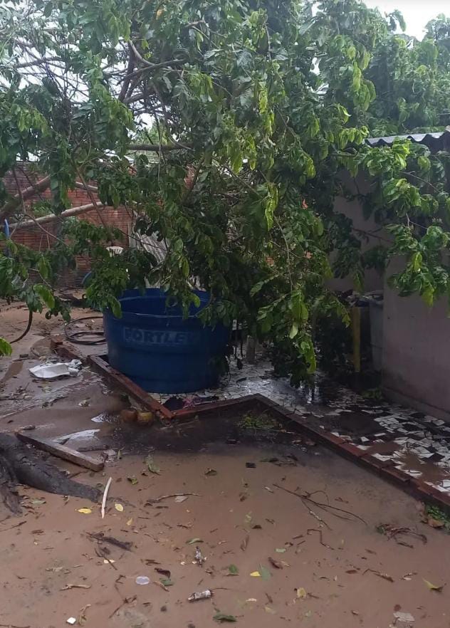 Temporal causa estragos em Cruzeiro do Sul e Mâncio Lima Temporal causa estragos em Cruzeiro do Sul e Mâncio Lima