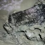 Sandália de couro 'da época de Cristo' é encontrada preservada em ruína na Espanha Sandália de couro 'da época de Cristo' é encontrada preservada em ruína na Espanha