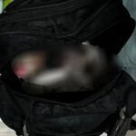 Adolescente aborta quase no final da gestação e esconde feto em mochila Adolescente aborta quase no final da gestação e esconde feto em mochila