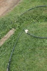 Sem abastecimento, morador procura Saerb e tem como resposta que bomba não tem força para enviar água até sua rua