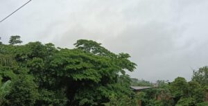 Sábado será com chuvas a qualquer momento e temperatura amena no Acre