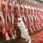 Acre receberá missão da Ásia para analisar a possibilidade de exportação de carne bovina Acre receberá missão da Ásia para analisar a possibilidade de exportação de carne bovina