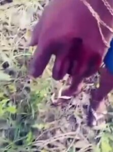 Facção disciplina com 13 ripadas homem acusado de furto no Segundo Distrito de Rio Branco