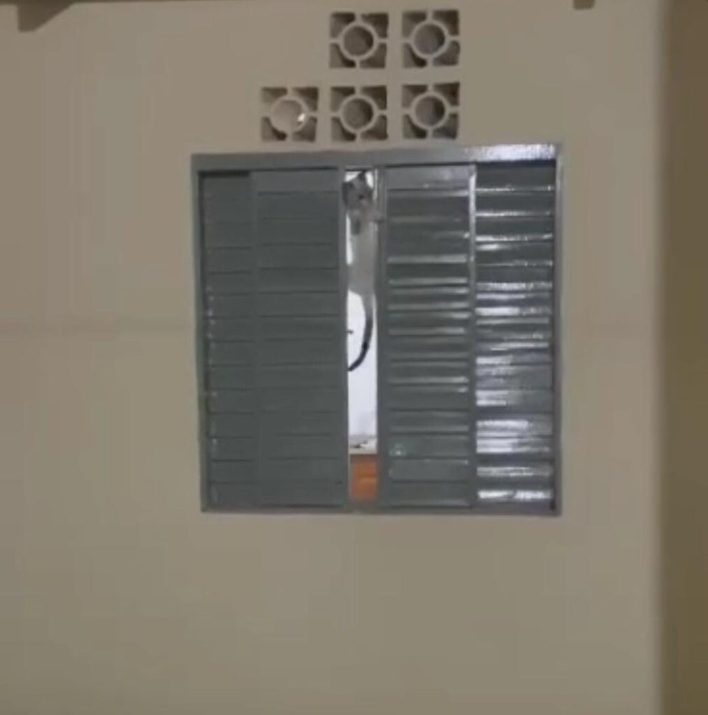 No Acre, gata Juliete abre janela de apartamento para brincar