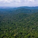 Cumprimento do Acordo de Paris vai além da Amazônia, diz relatório Cumprimento do Acordo de Paris vai além da Amazônia, diz relatório